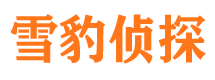 茂南找人公司